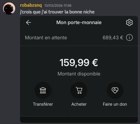 Screenshot compte Vinted Robabzsnq — niche trouvée