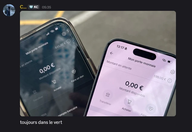 Capture des revenus Vinted d'un élève — récapitulatif mensuel